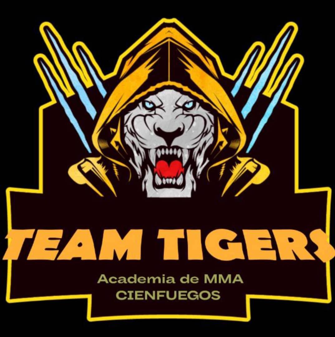 TEAM TIGERS Academia de MMA