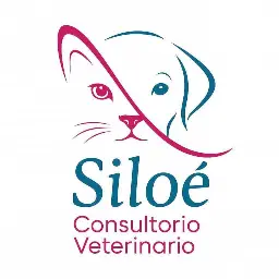 Siloé Consultorio Veterinario